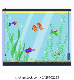 Aquarium. Vector isolated color image of an aquarium with fish and algae on a white background.