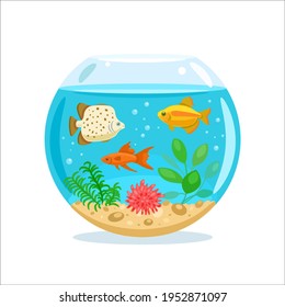 Aquarium with water, fish, algae, shells, bubbles, sand. Marine pets. Vector flat illustration.