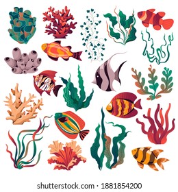 Aquarium and wild life of sea and ocean bottom depth. Isolated tropical and exotic fish, coral reefs and seaweed plants growing underwater. Marine and nautical ecosystem. Vector in flat style