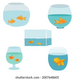 Aquariums of different shapes with goldfish. Aquariums