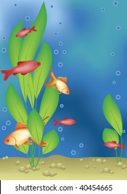 aquariums fishs