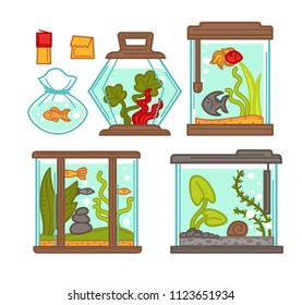 Aquariums set with flora and stones vector illustration