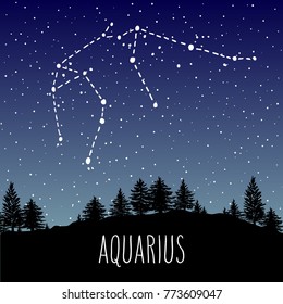 Aquarius hand drawn Zodiac sign constellation in a starry night sky over the coniferous forest. Vector graphics astrology illustration. Western horoscope mystic symbol in nature.