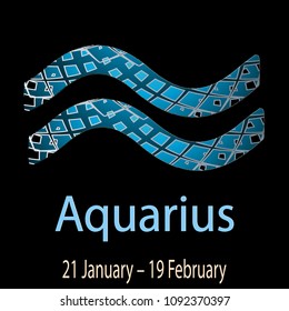 Aquarius. Ornamental decorative vector Zodiac sign.  Astrological patterned Water-Bearer symbol. Abstract modern background with dates, months, latin name text. 21 January – 19 February. Luxury design