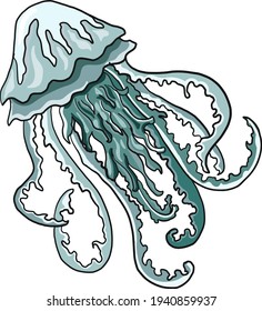 Aquarius vector illustration on zodiac set.