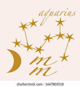 aquarius vector illustration, perfect to use on the web or in print