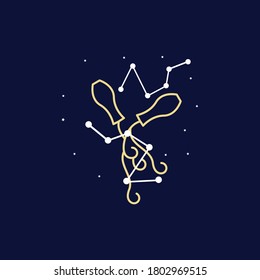 aquarius zodiac sign logo. vector illustration.