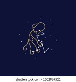 aquarius zodiac sign logo. vector illustration.