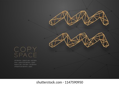 Aquarius Zodiac sign wireframe Polygon golden frame structure, Fortune teller concept design illustration isolated on black gradient background with copy space, vector eps 10