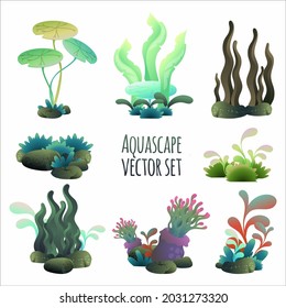 aquascape vector illustration set, aquarium plant set