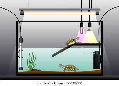 Aquaterrarium. Schematic representation of the terrarium. Terrarium equipment. Vector illustration. 