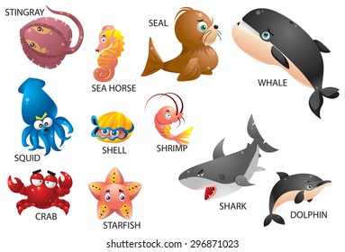 Sea Animals Chart With Names