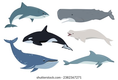 Animales acuáticos. El jorobado de los mamíferos oceánicos, la ballena espermática y asesina, el delfín, el tiburón y la beluga en diferentes poses. Ilustración de iconos planos vectores aislados en fondo blanco.