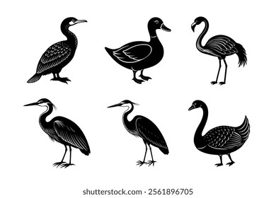 Aquatic Birds Silhouette vector Bundle