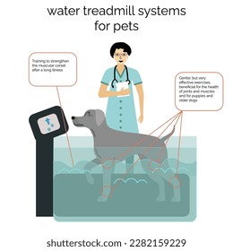 Aquatic center poster for dogs with water treadmill for training, muscle strengthening and rehabilitation.