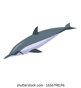 Icono de delfín acuático. Isométrico icono del vector de delfín acuático para el diseño web aislado en fondo blanco