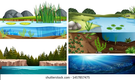 6,359 Aquatic Ecosystem Stock Vectors, Images & Vector Art | Shutterstock