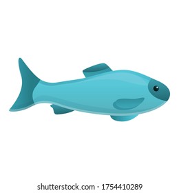 Aquatic fish icon. Cartoon of aquatic fish vector icon for web design isolated on white background