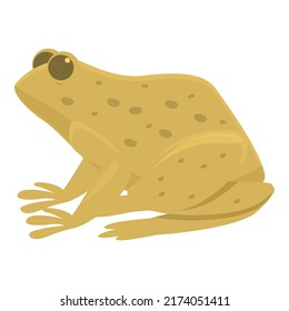 Aquatic froggy icon cartoon vector. Frog water. Animal life