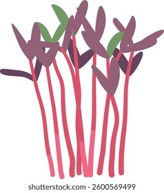 Aquatic green plants vector illustration