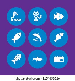 aquatic icon. 9 aquatic set with diving, fish and dolphin vector icons for web and mobile app