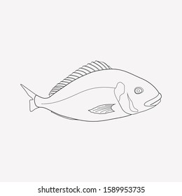 Aquatic icon line element. Vector illustration of aquatic icon line isolated on clean background for your web mobile app logo design.