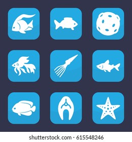 Aquatic icon. set of 9 filled aquatic icons such as fish, starfish