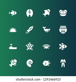aquatic icon set. Collection of 16 filled aquatic icons included Diving, Fish, Seashell, Turtle, Fishbowl, Whale, Sea urchin, Frog, Salmon
