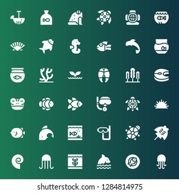 aquatic icon set. Collection of 36 filled aquatic icons included Jellyfish, Fish, Dolphin, Seashell, Manta ray, Tortoise, Dive, Aquarium, Sea urchin, Turtle, Scuba diving, Clown fish