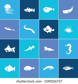 Aquatic icon set and jellyfish with hammerhead shark, goldfish and dorado fish. Herring related aquatic icon vector for web UI logo design.