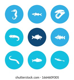 Aquatische Ikone-Set und Meerpferd mit Maultier, Sardine und Kabeljau Fisch. Vektorillustration von Wasserzeichen für das Design des WebUI-Logos.