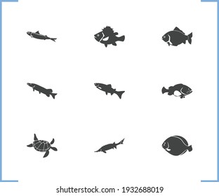 Aquatic icon set and sea turtle with grouper fish, crucian and arctic char fish. Gemfish related aquatic icon vector for web UI logo design.