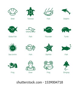 aquatic icons. Editable 16 aquatic icons. Included icons such as Shell, Tortoise, Fish, Dolphin, Globe Fish, Flounder, Turtle, Sea Urchin, Starfish. aquatic trendy icons for web.