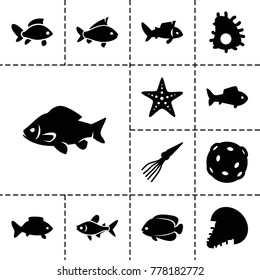 Aquatic icons. set of 13 editable filled aquatic icons such as fish, starfish