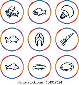 Aquatic icons set. set of 9 aquatic outline icons such as fish, extinct sea creature