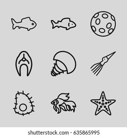 Aquatic icons set. set of 9 aquatic outline icons such as fish, starfish