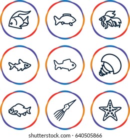 Aquatic icons set. set of 9 aquatic outline icons such as fish, starfish