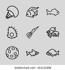 Aquatic icons set. set of 9 aquatic outline icons such as fish