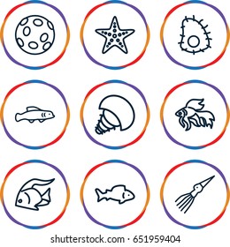 Aquatic icons set. set of 9 aquatic outline icons such as fish, starfish, extinct sea creature