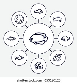 Aquatic icons set. set of 9 aquatic outline icons such as fish, extinct sea creature