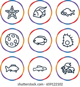 Aquatic icons set. set of 9 aquatic outline icons such as fish, starfish, extinct sea creature