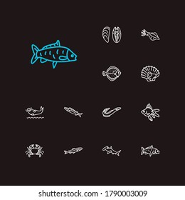 Aquatic icons set. Carp fish and aquatic icons with mussel, goldfish and crab. Set of undersea for web app logo UI design.