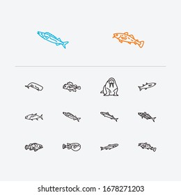 Aquatic icons set. Cod fish and aquatic icons with mackerel, gemfish and grouper fish. Set of manatee for web app logo UI design.