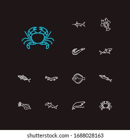 Aquatic Icons Set. Scad And Aquatic Icons With Flatfish, Sea Cow And Hammerhead Shark. Set Of Crayfish For Web App Logo UI Design.