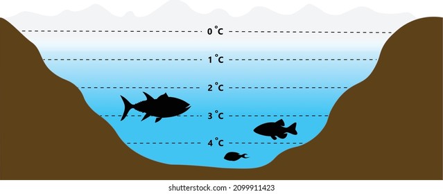 aquatic life survival under ice 