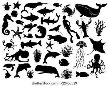 Aquatic life vector silhouettes