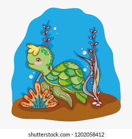 aquatic marine life