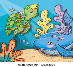 aquatic marine life