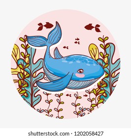 aquatic marine life