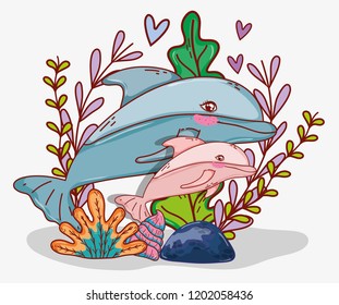 aquatic marine life